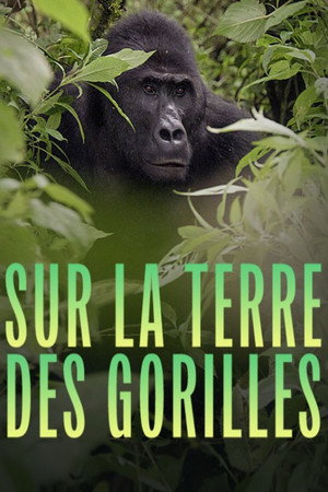 Silverback poszter