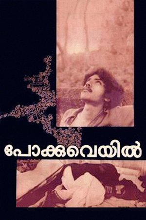 പോക്കുവെയിൽ poszter