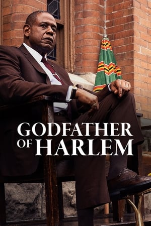 Godfather of Harlem poszter