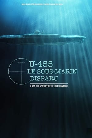 U-455, le sous-marin disparu poszter