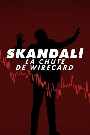 A Wirecard összeomlása poszter