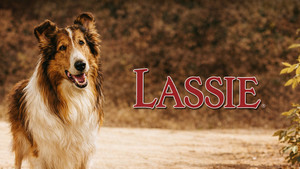 Lassie: Disappearance háttérkép
