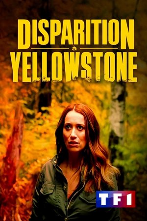 Disappearance in Yellowstone poszter