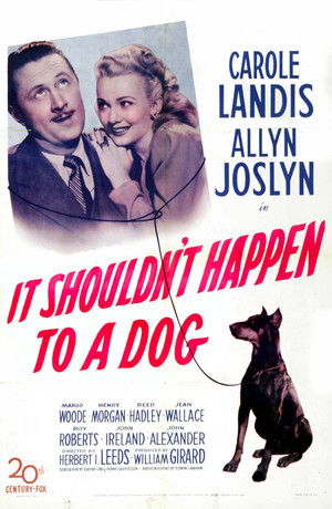 It Shouldn't Happen to a Dog poszter