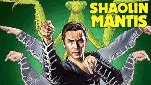 A shaolin sáska háttérkép