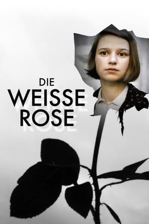 Die weiße Rose poszter