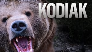 Kodiak kép