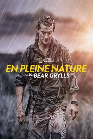 Bear Grylls: Sztárok a vadonban poszter