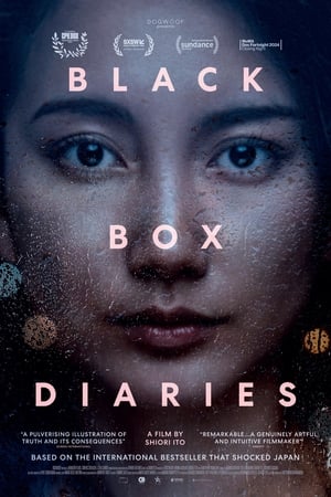 Black Box Diaries poszter