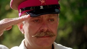 Csalóka napfény háttérkép