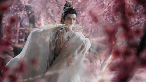 水龙吟 kép