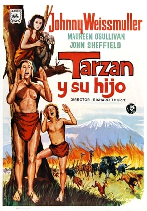 Tarzan és fia poszter