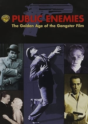 Public Enemies: The Golden Age of the Gangster Film poszter