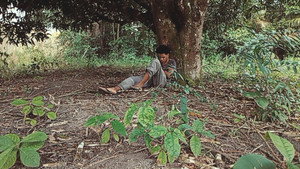 O Homem Estranho Dorme háttérkép