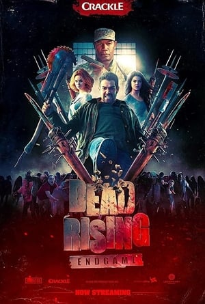 Dead Rising: Endgame poszter