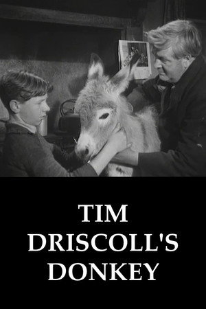 Tim Driscoll's Donkey poszter