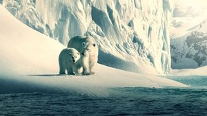 Our Planet – Bolygónk csodái kép