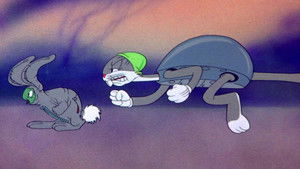 Tortoise Wins by a Hare háttérkép