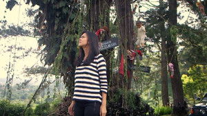 Hantu Pohon Boneka háttérkép