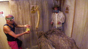 I'm a Celebrity...Get Me Out of Here! Season 15 Ep.15 15. epizód