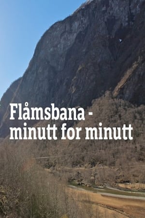 Flåmsbana – minutt for minutt