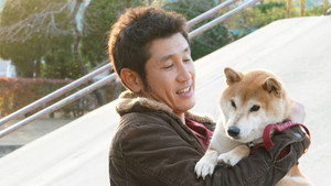 柴公園 háttérkép
