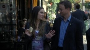 CSI: New York-i helyszínelők 6. évad Ep.21 Szokatlan gyanúsítottak