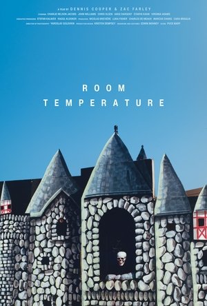 Room Temperature poszter