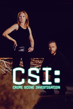 CSI: A helyszínelők poszter