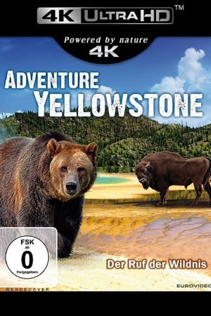 Adventure Yellowstone - Der Ruf der Wildnis