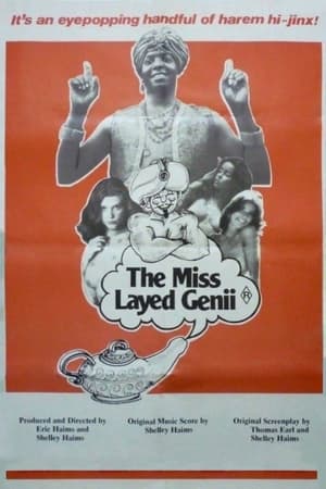 The Mislayed Genie poszter