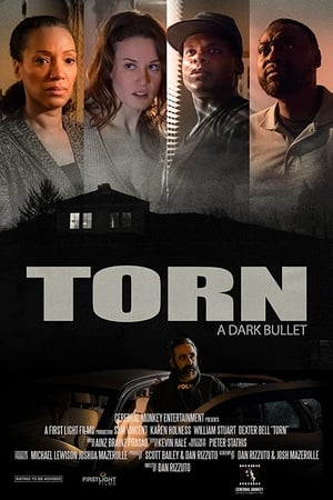 Torn: Dark Bullets poszter