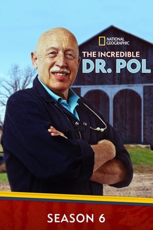 Dr. Pol állatklinikája