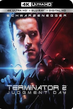 T2: Reprogramming The Terminator poszter