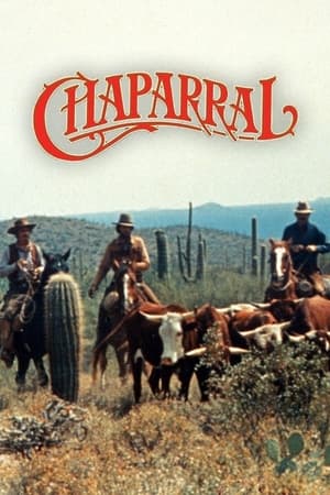 The High Chaparral poszter