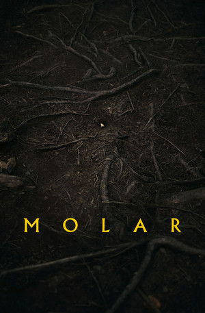 Molar poszter