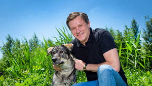 Refuge animal kép
