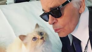 The Mysterious Mr. Lagerfeld háttérkép