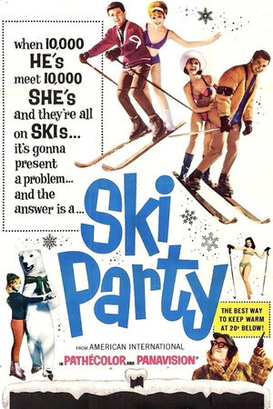 Ski Party poszter