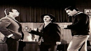 شمسی پهلوان háttérkép