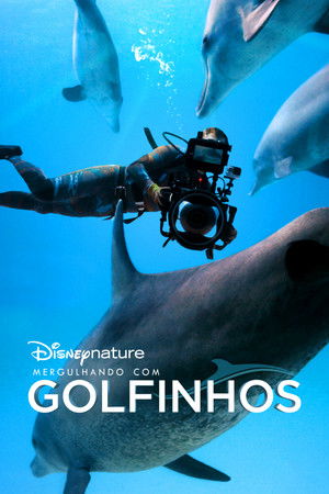 Diving with Dolphins poszter