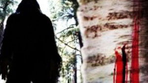 Sasquatch Mountain háttérkép