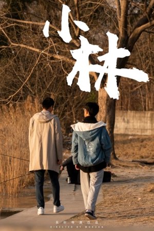小林 poszter