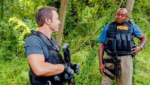 Hawaii Five-0 4. évad Ep.12 Egykor és most