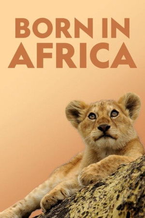 Afrikában születtek poszter