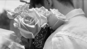 No Romance háttérkép