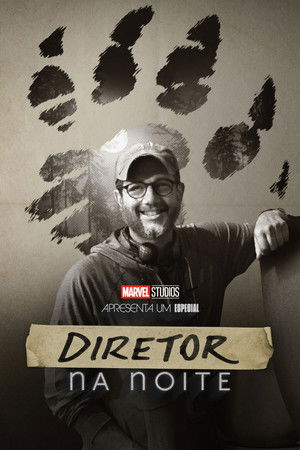 Director by Night poszter