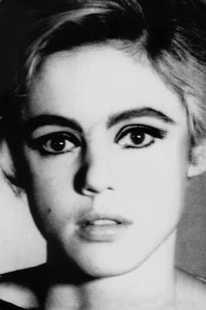 Edie Sedgwick profil kép