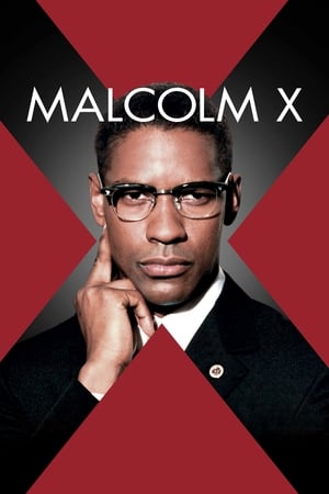 Malcolm X poszter