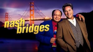 Nash Bridges - Trükkös hekus kép